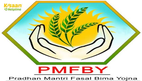 प्रधानमंत्री आवास बीमा योजना के 5 साल पूरे हुए, किसानों से योजना का लाभ लेने का आग्रह किया गया प्रधानमंत्री आवास बीमा योजना के 5 साल पूरे हुए, किसानों से योजना का लाभ लेने का आग्रह किया गया